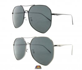 Classics Metal Polarized Sunglasses 2004-S-P  Classics Metal Polarized Sunglasses 2004-S-P