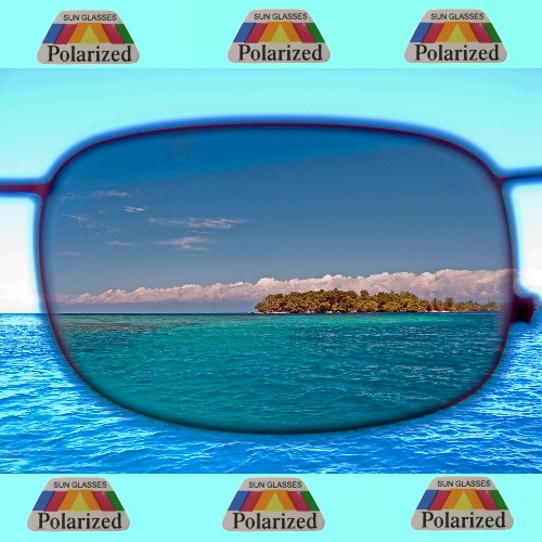 Polarized Sunglasses